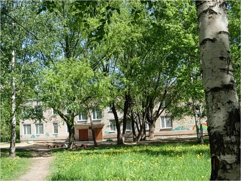 Детский сад № 105 Невского района