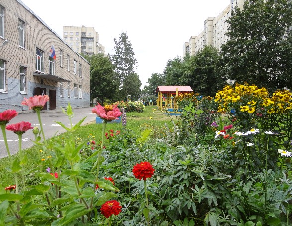 Детский сад № 113 Фрунзенского района