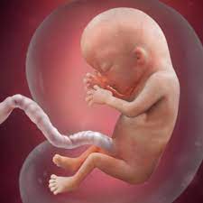 Дышат ли младенцы в утробе матери?